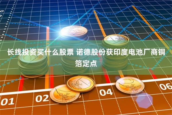 长线投资买什么股票 诺德股份获印度电池厂商铜箔定点
