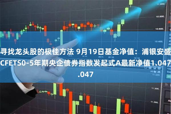 寻找龙头股的极佳方法 9月19日基金净值：浦银安盛CFE