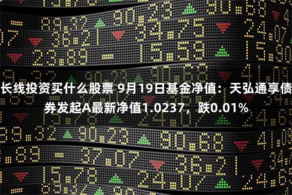 长线投资买什么股票 9月19日基金净值：天弘通享债券发起A最新净值1.0237，跌0.01%