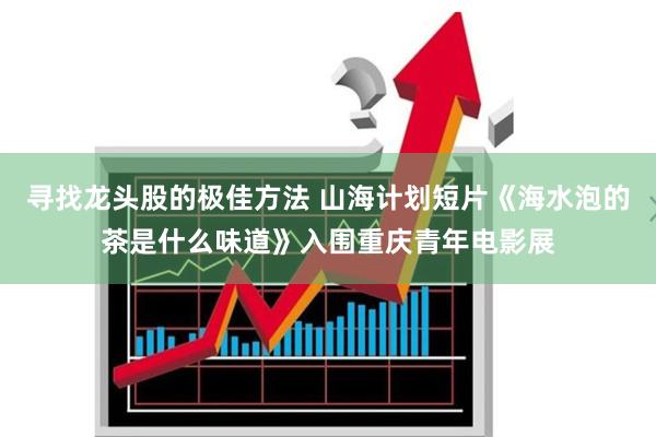 寻找龙头股的极佳方法 山海计划短片《海水泡的茶是什么味道