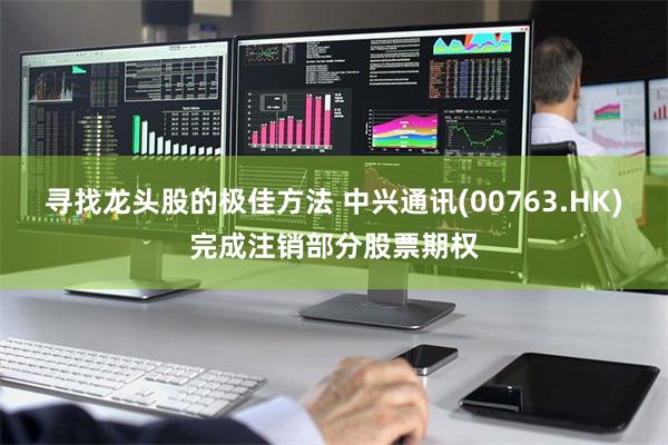 寻找龙头股的极佳方法 中兴通讯(00763.HK)完成注销部分股票期权