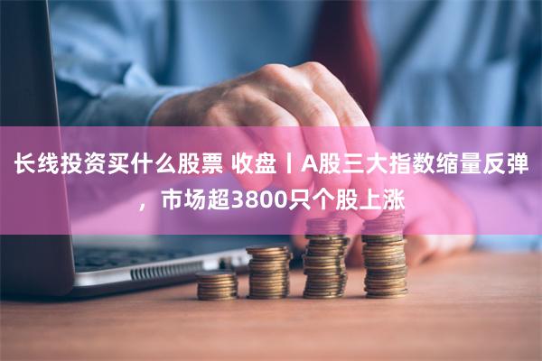 长线投资买什么股票 收盘丨A股三大指数缩量反弹，市场超380