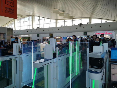 烏魯木齊機場高科技設備提升服務，信息技術咨詢服務助力智慧出行